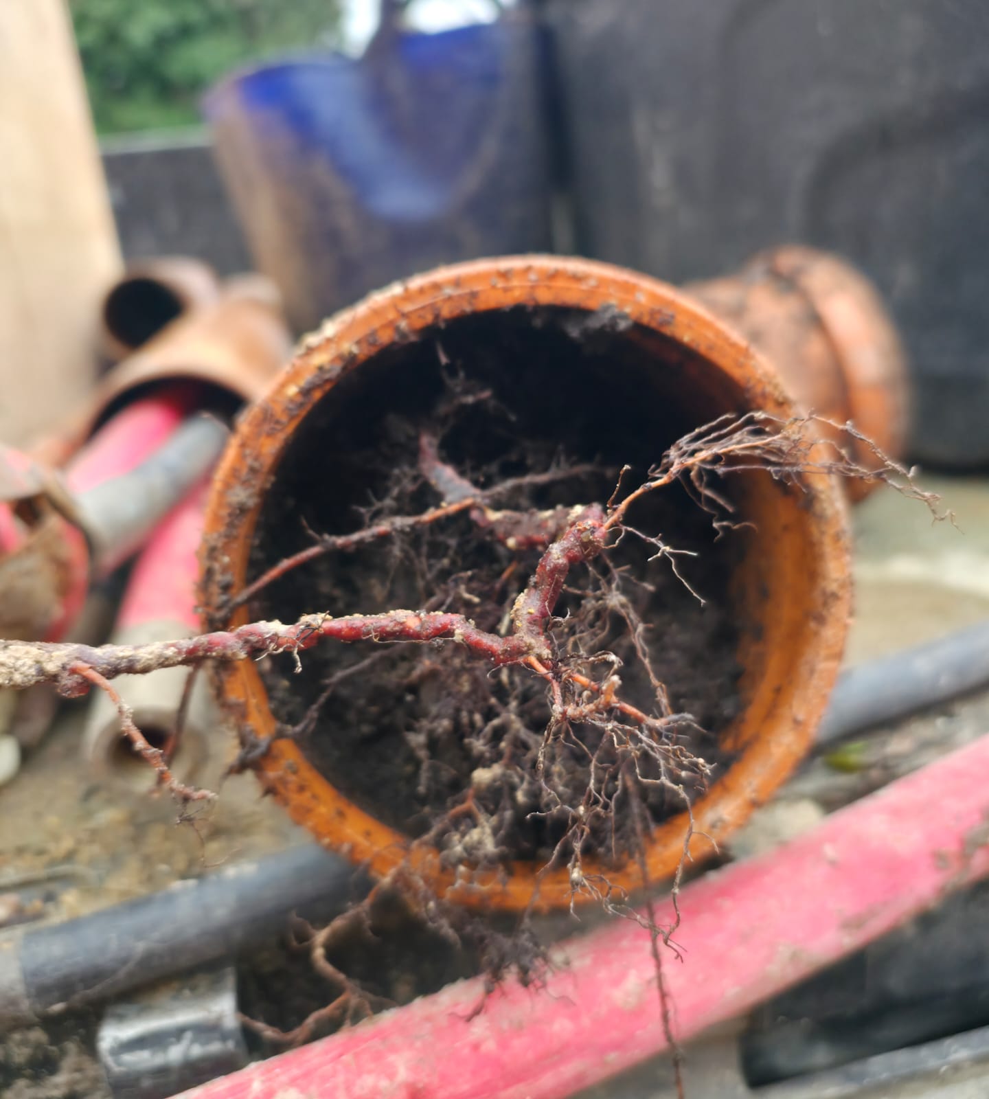 Drainage work